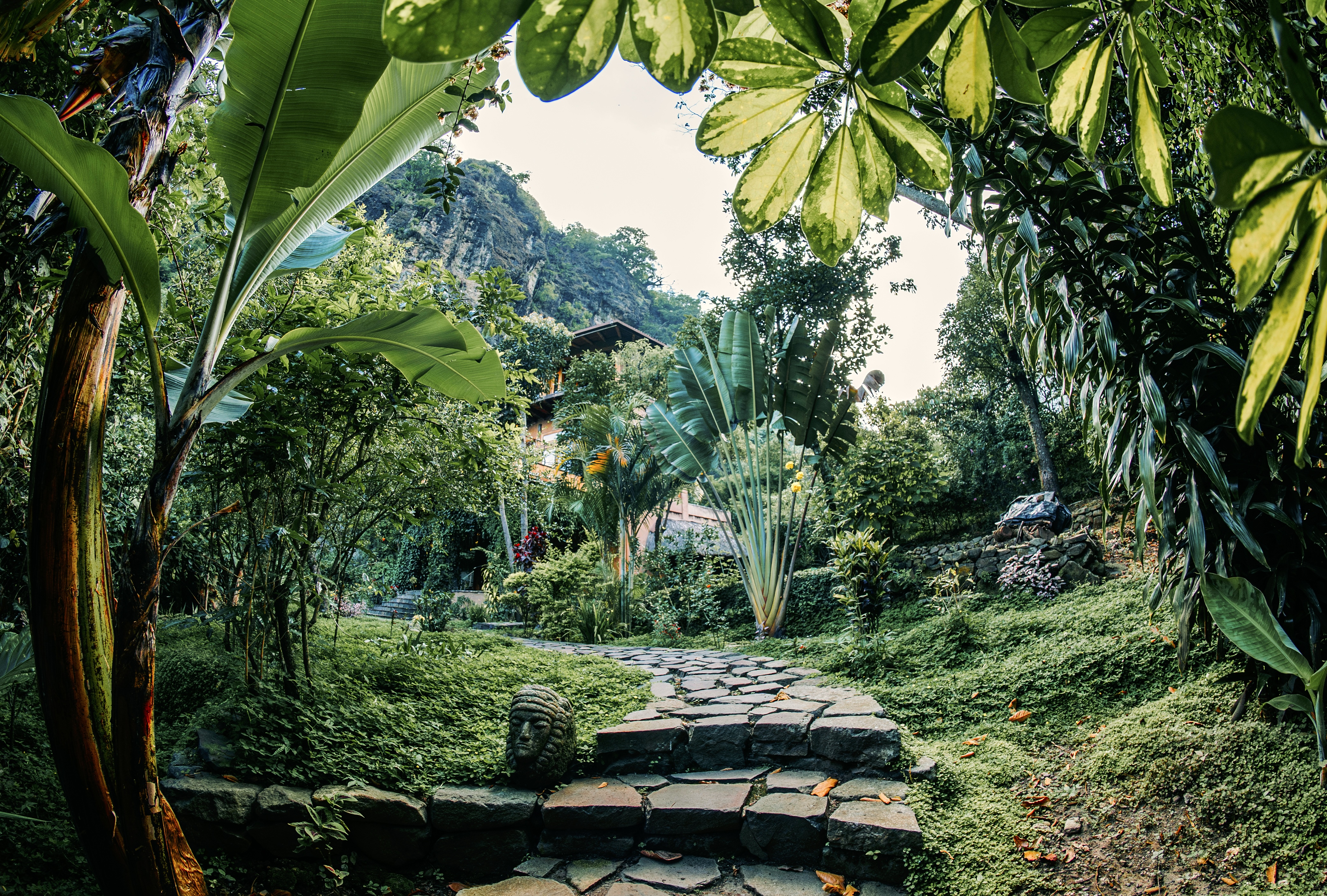 Maestro Valley — paths and gardens at the regenerative sanctuary